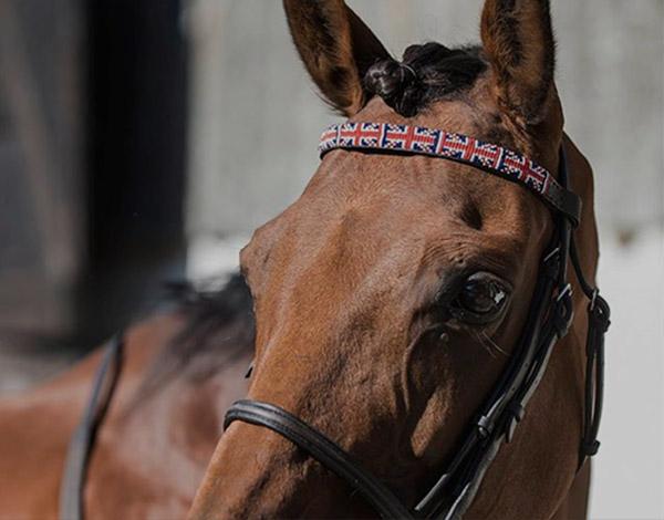 Browbands - Exciting new product to Simba Jones!